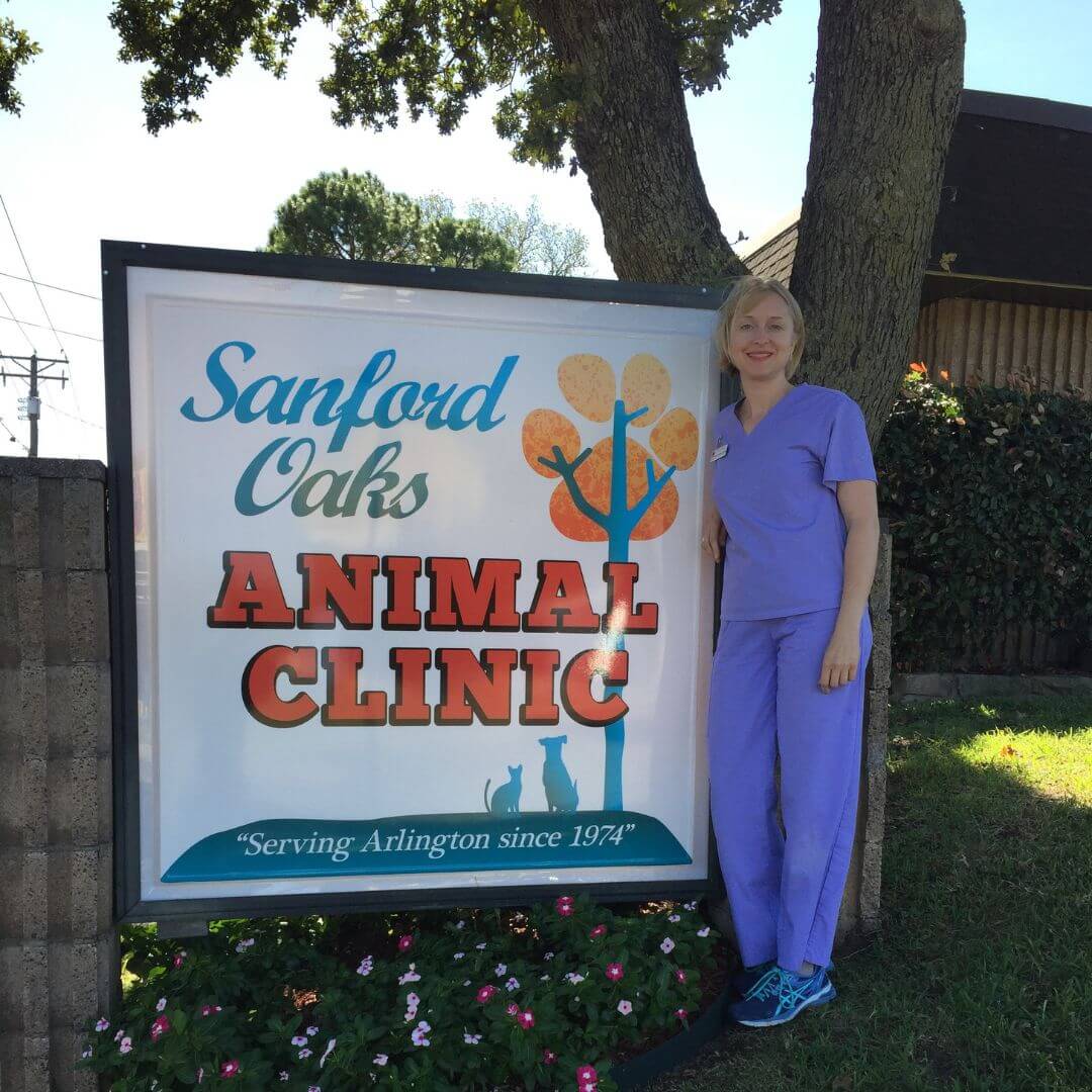 Best Vet Hospital In Arlington, TX | Sanford Oaks