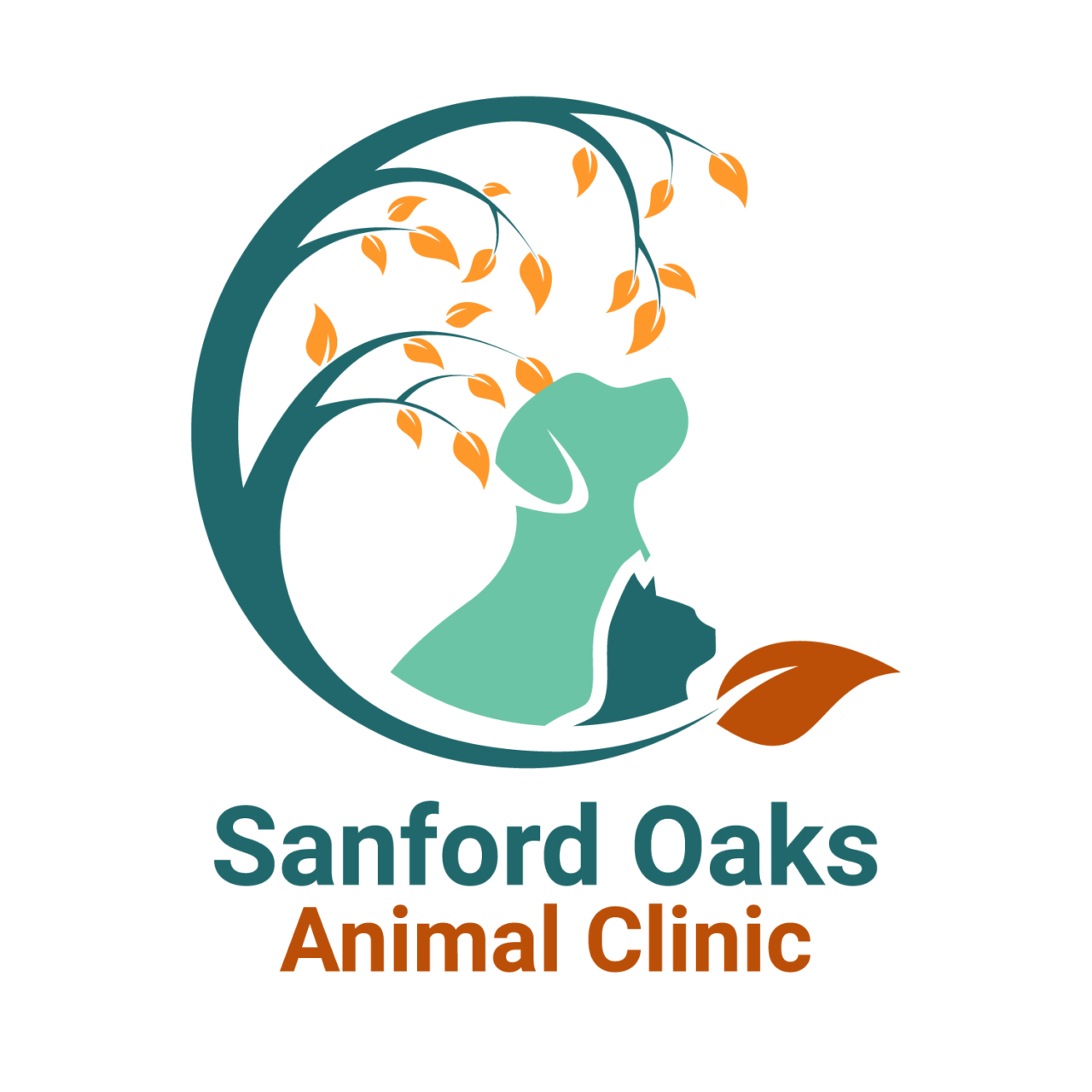 Best Vet Hospital In Arlington, TX Sanford Oaks