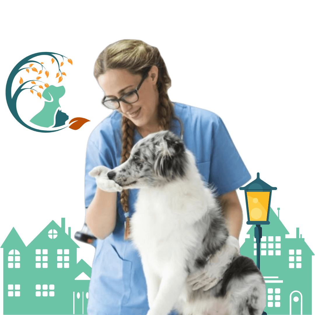vet applying injection to dog