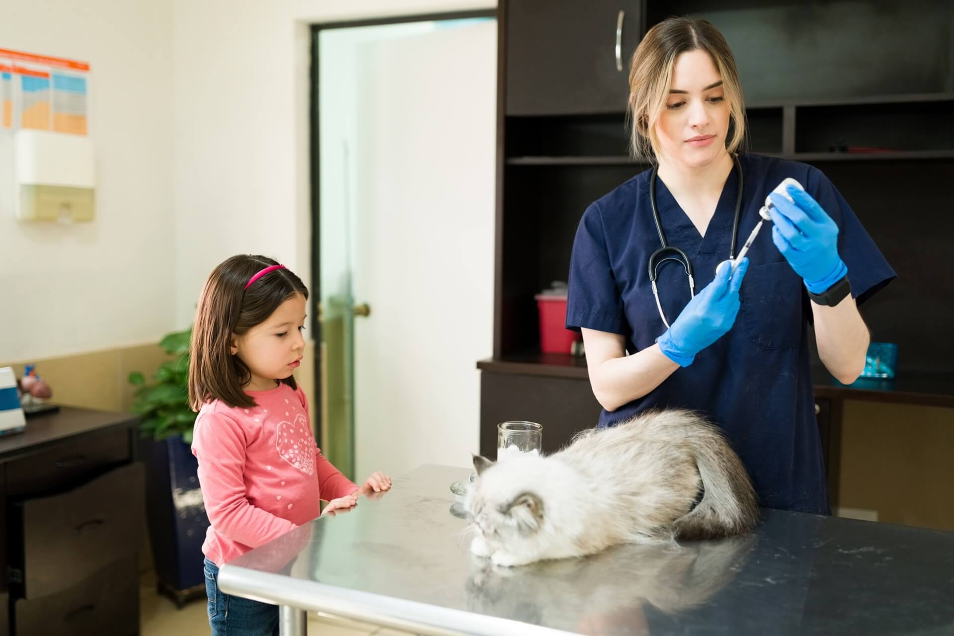 Cat sitting on exam table about to receive vaccine while child stands nearby and observes