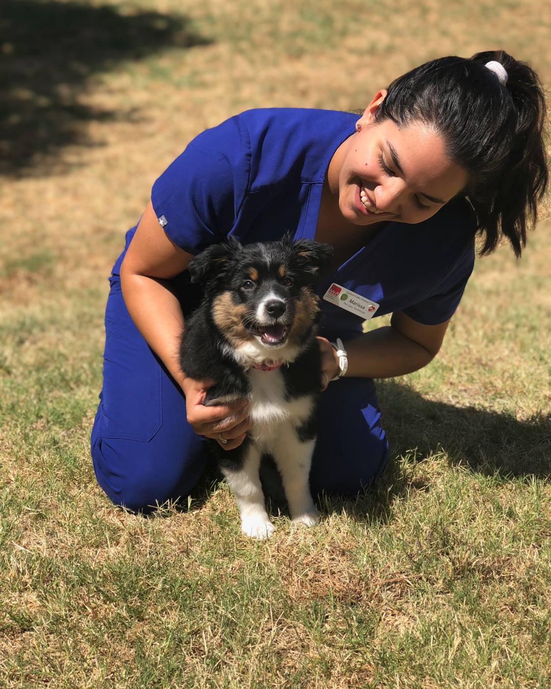 Veterinary team member playing with puppy outdoors