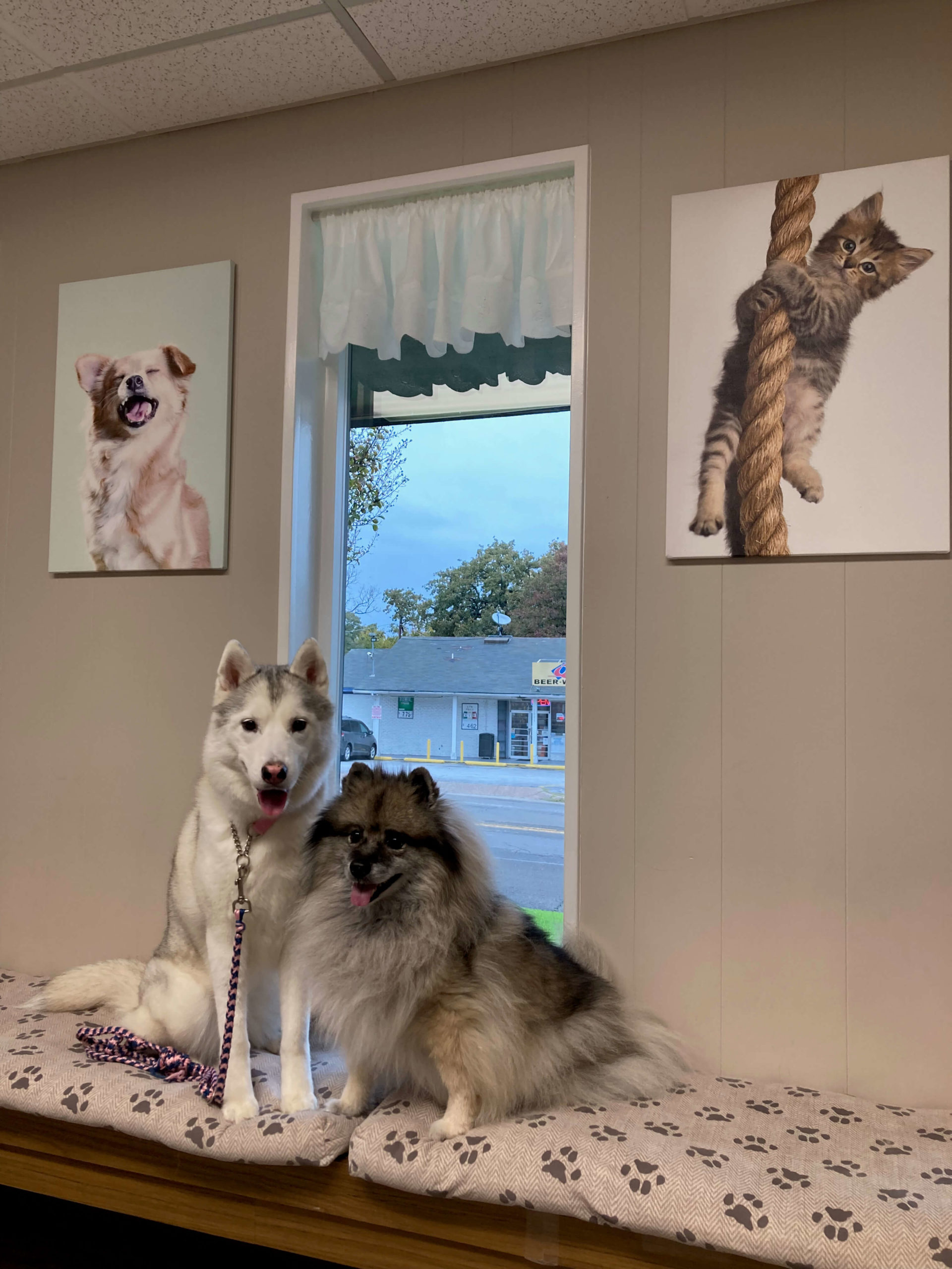 Sanford Oaks Animal Clinic - pet gallery