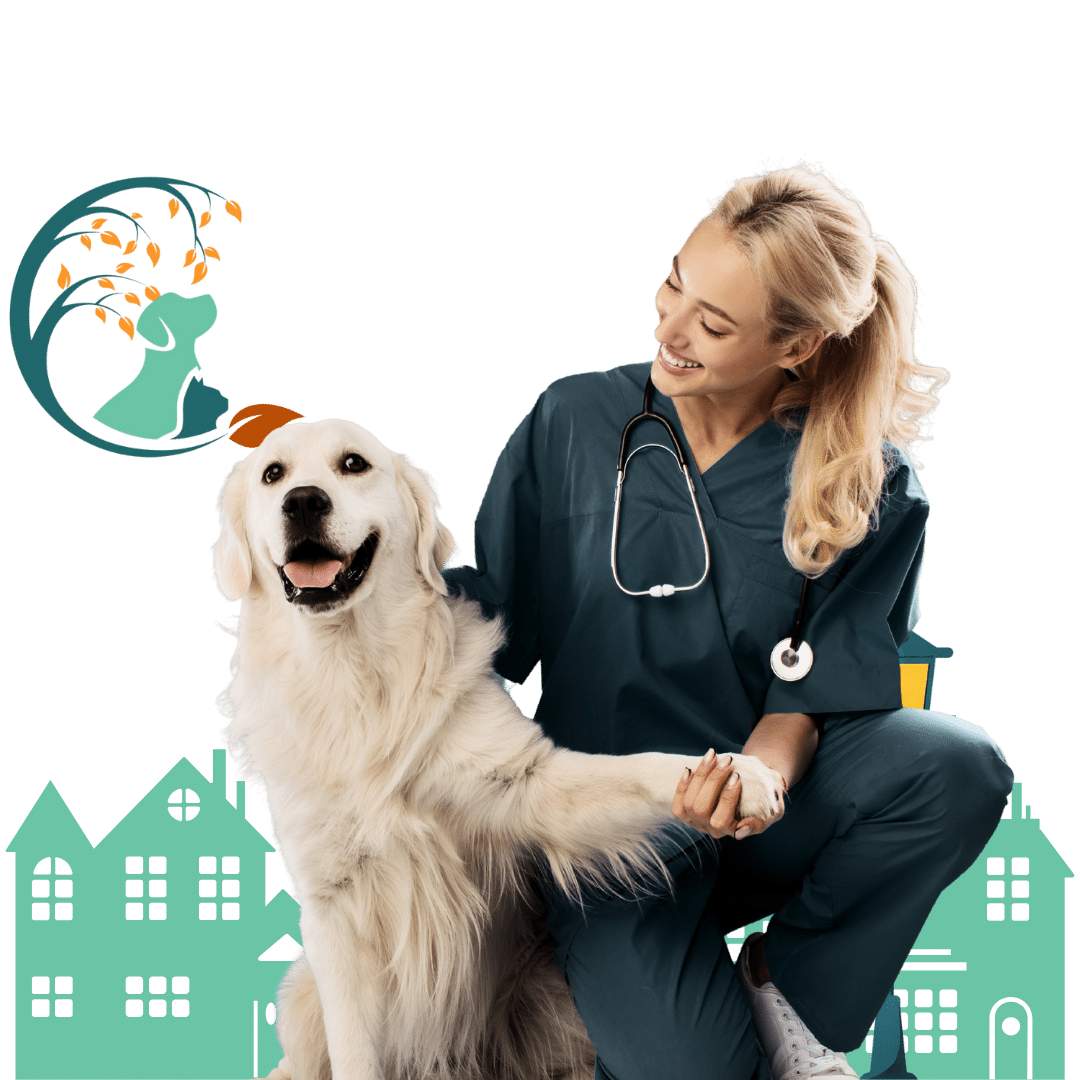 A woman in scrubs gently pets a dog