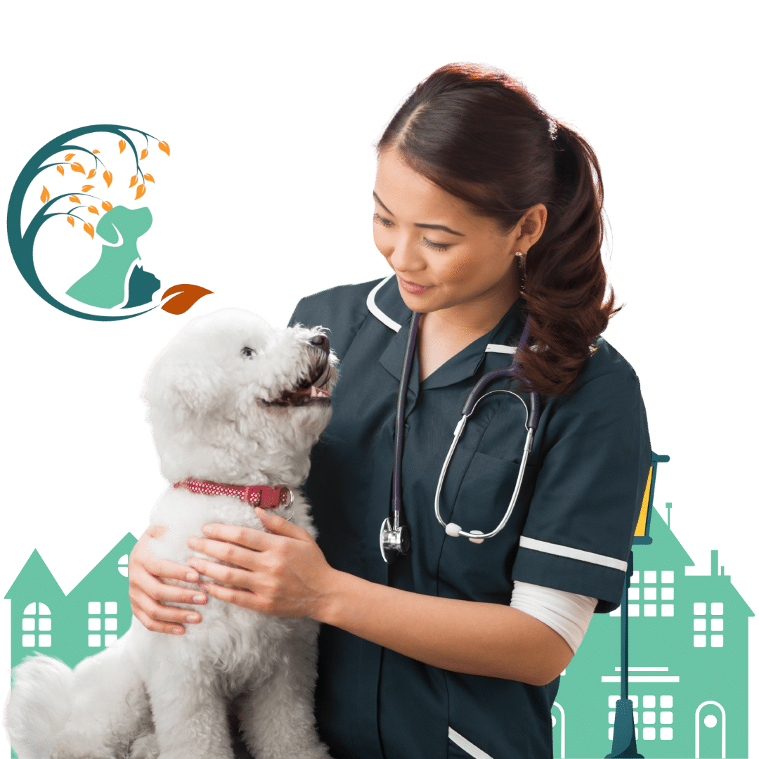 A vet holding a small white dog